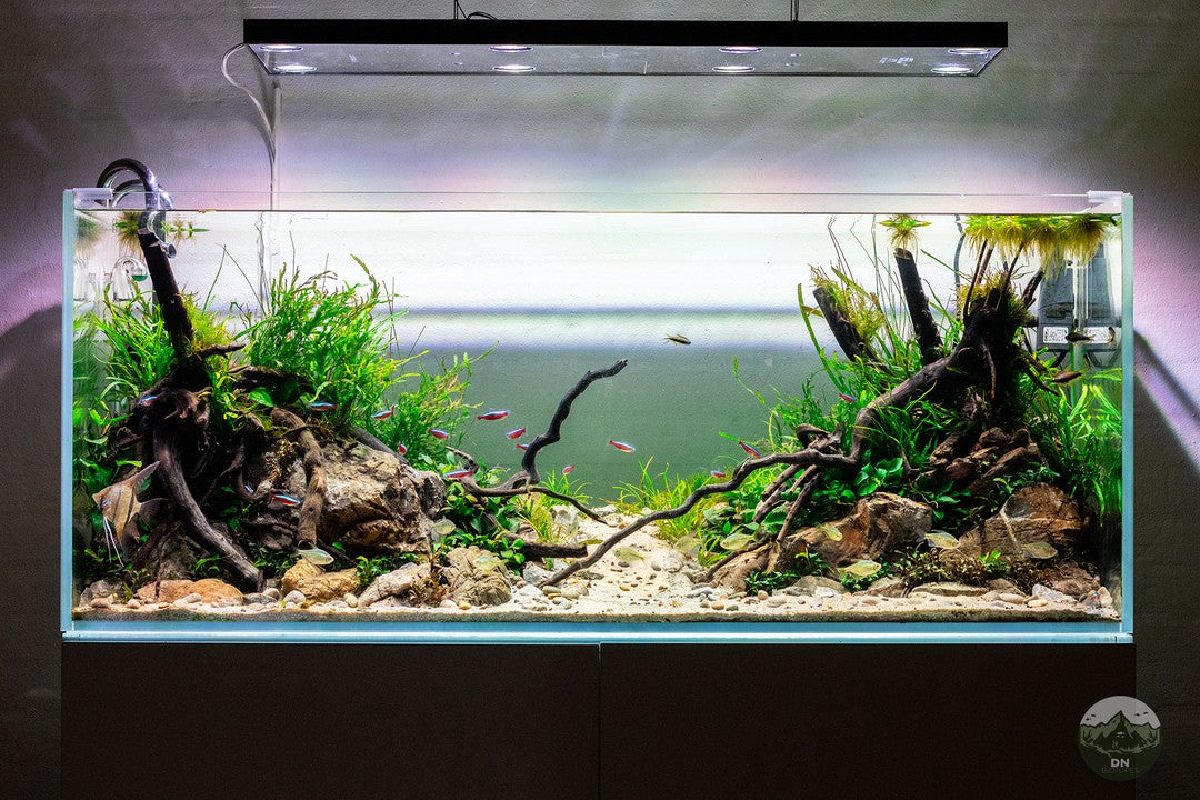 Instagram post by @dnoerholm