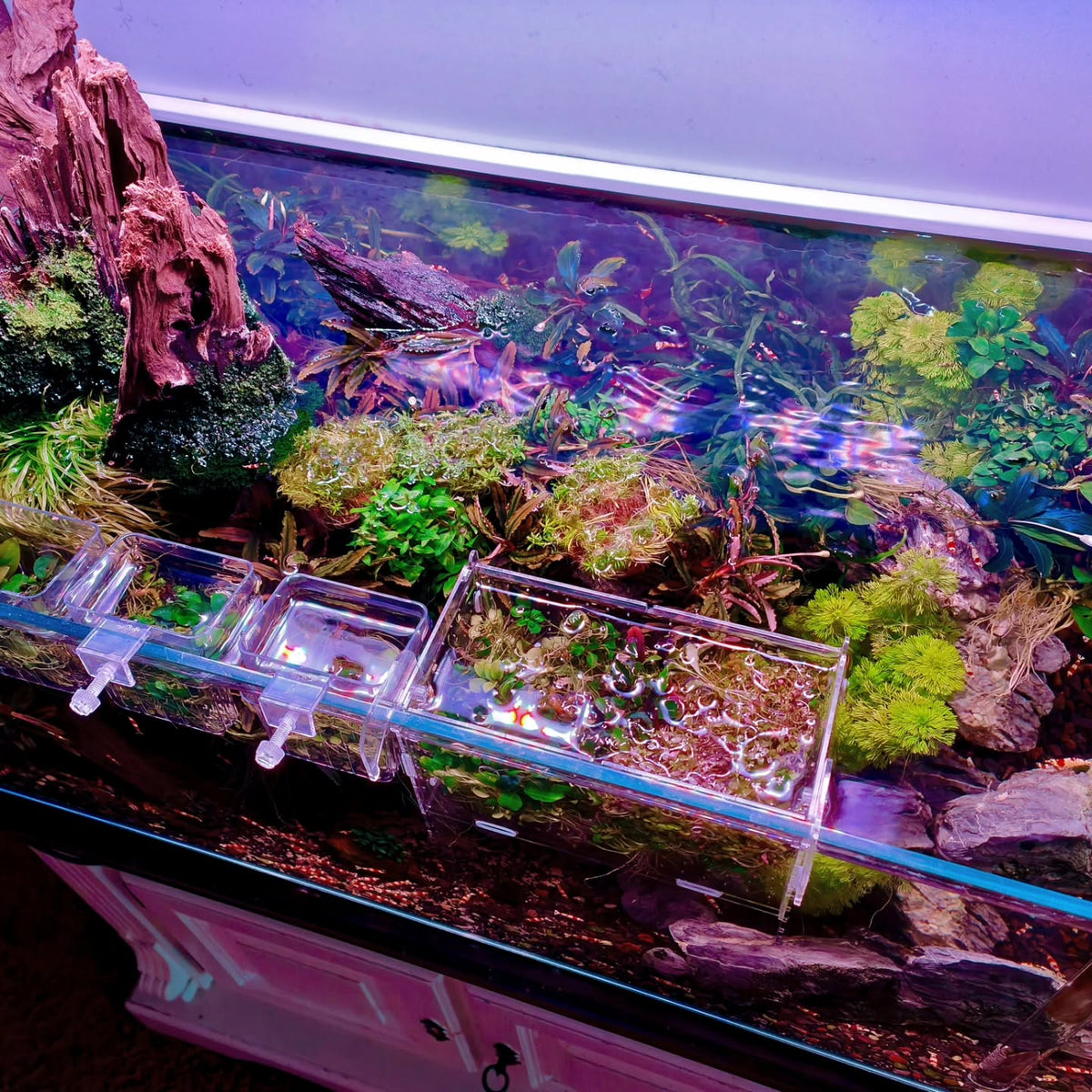 Instagram-inlägg av @aquascapebarendrecht