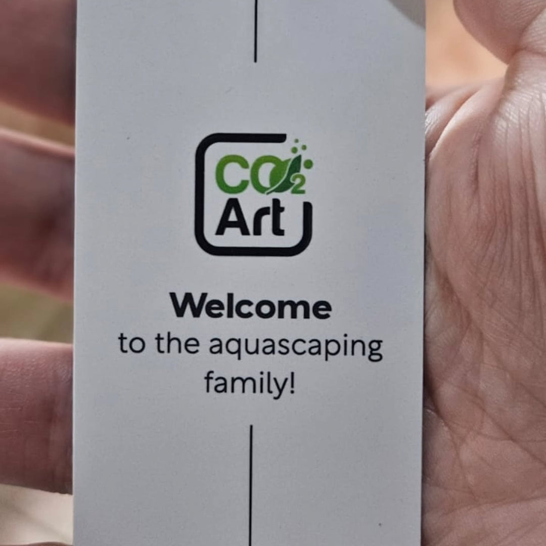 Instagram-inlägg av @vale.aquascaper